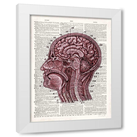 Vintage Anatomy Brain White Modern Wood Framed Art Print by James, Christopher