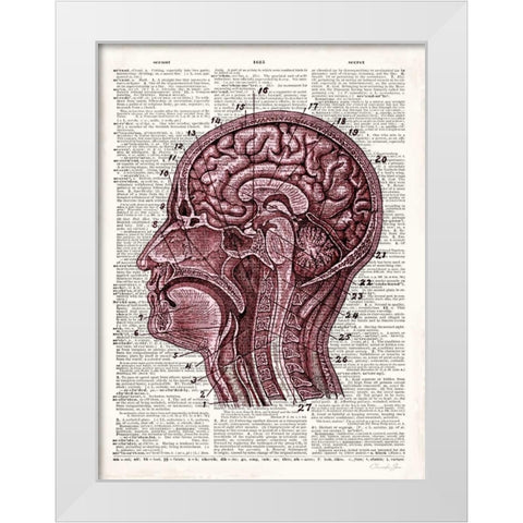 Vintage Anatomy Brain White Modern Wood Framed Art Print by James, Christopher