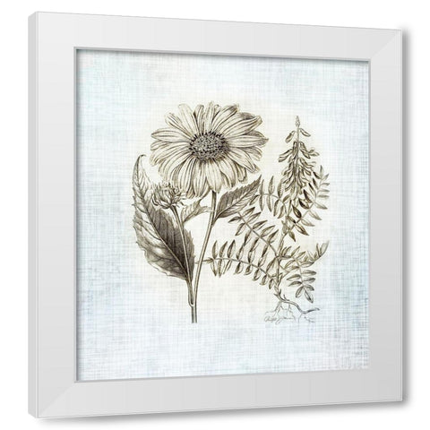 Farmhouse Botanical 3 White Modern Wood Framed Art Print by James, Christopher