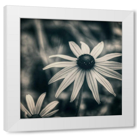 Garden At Dusk White Modern Wood Framed Art Print by Hoey, Linda