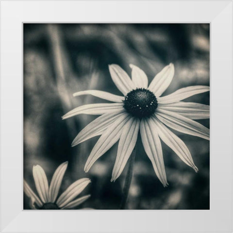 Garden At Dusk White Modern Wood Framed Art Print by Hoey, Linda