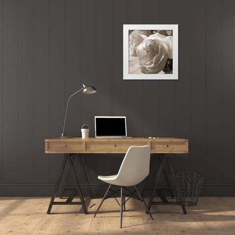 Sepia Rose 2 White Modern Wood Framed Art Print by Semenza, Marlana