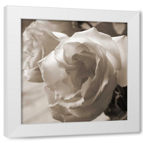 Sepia Rose 2 White Modern Wood Framed Art Print by Semenza, Marlana