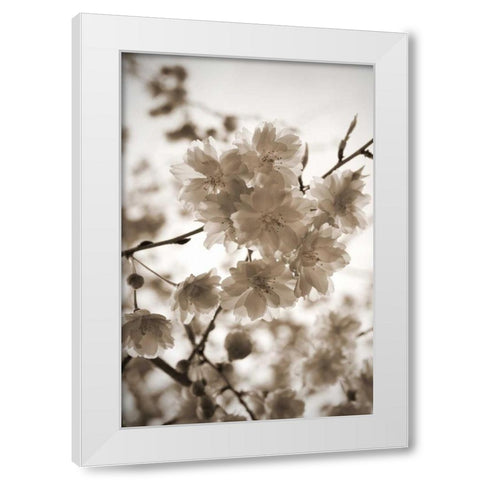 Blossom Twig 1 White Modern Wood Framed Art Print by Semenza, Marlana