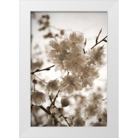 Blossom Twig 1 White Modern Wood Framed Art Print by Semenza, Marlana