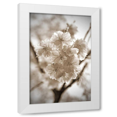 Blossom Twig 2 White Modern Wood Framed Art Print by Semenza, Marlana