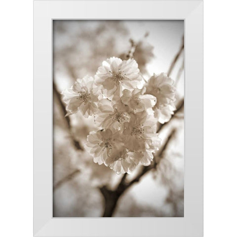 Blossom Twig 2 White Modern Wood Framed Art Print by Semenza, Marlana