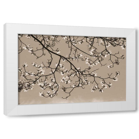 Dogwood Silhouette 1 White Modern Wood Framed Art Print by Semenza, Marlana