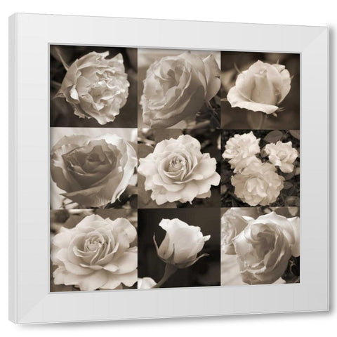 Rose Collection White Modern Wood Framed Art Print by Semenza, Marlana