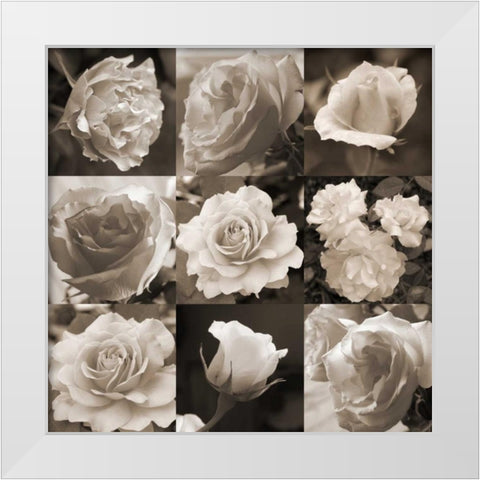 Rose Collection White Modern Wood Framed Art Print by Semenza, Marlana