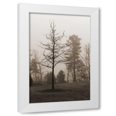 Evening Mist 1 White Modern Wood Framed Art Print by Sememza, Marlana