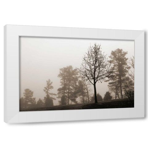 Evening Mist 2 White Modern Wood Framed Art Print by Sememza, Marlana