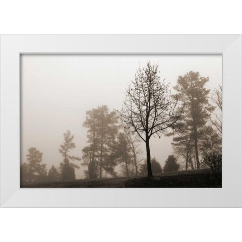 Evening Mist 2 White Modern Wood Framed Art Print by Sememza, Marlana