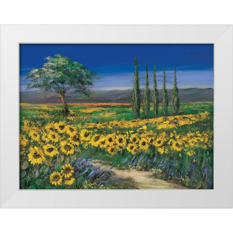 Field of sunflowers White Modern Wood Framed Art Print by Paleta, Anna