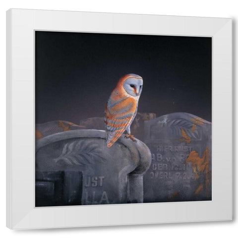 Grafeyard owl White Modern Wood Framed Art Print by Weenink, Ruud