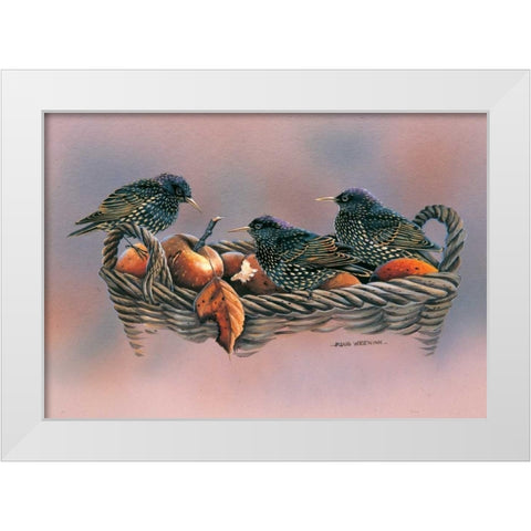 Family birds White Modern Wood Framed Art Print by Weenink, Ruud
