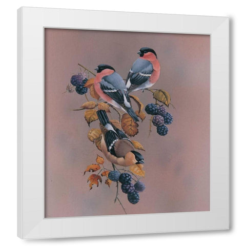 Resting White Modern Wood Framed Art Print by Weenink, Ruud
