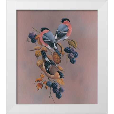 Resting White Modern Wood Framed Art Print by Weenink, Ruud