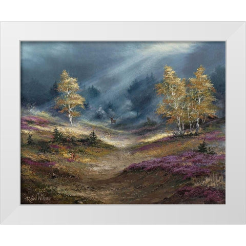 The deer noticed us White Modern Wood Framed Art Print by Withaar, Reint