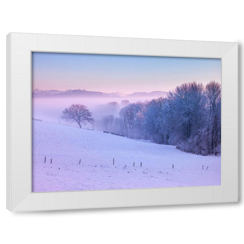 Winter landsacpe in Switzerland White Modern Wood Framed Art Print by Frank, Assaf
