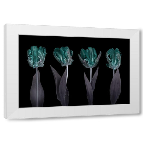 Rococo Tulips White Modern Wood Framed Art Print by Frank, Assaf