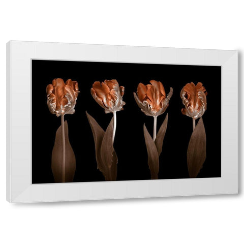 Rococo Tulips White Modern Wood Framed Art Print by Frank, Assaf