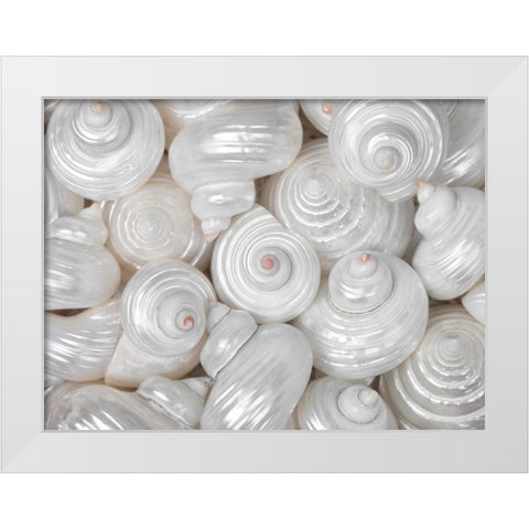Mixed pearly sea shells close-up White Modern Wood Framed Art Print by Frank, Assaf
