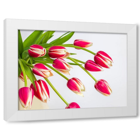 Bunch of red tulips White Modern Wood Framed Art Print by Frank, Assaf