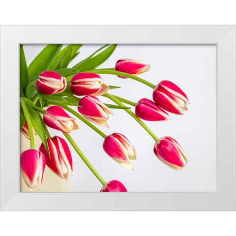 Bunch of red tulips White Modern Wood Framed Art Print by Frank, Assaf