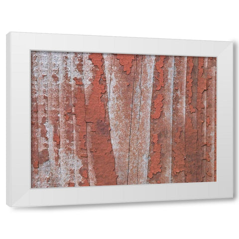 Paint on old door surface White Modern Wood Framed Art Print by Frank, Assaf
