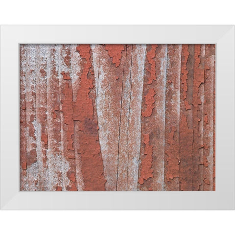 Paint on old door surface White Modern Wood Framed Art Print by Frank, Assaf