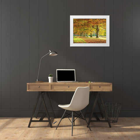 Row of trees in autumn White Modern Wood Framed Art Print by Frank, Assaf