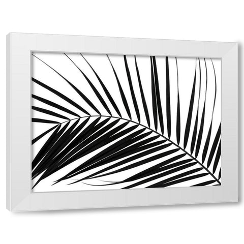 Palm tree leaf on white background White Modern Wood Framed Art Print by Frank, Assaf