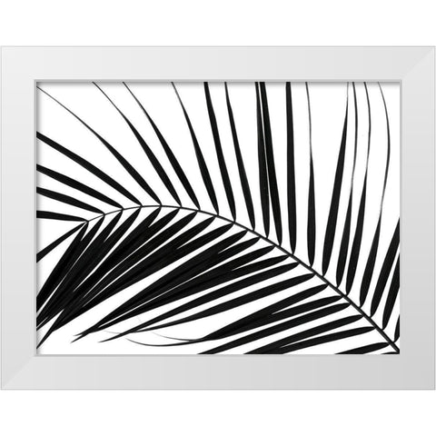 Palm tree leaf on white background White Modern Wood Framed Art Print by Frank, Assaf