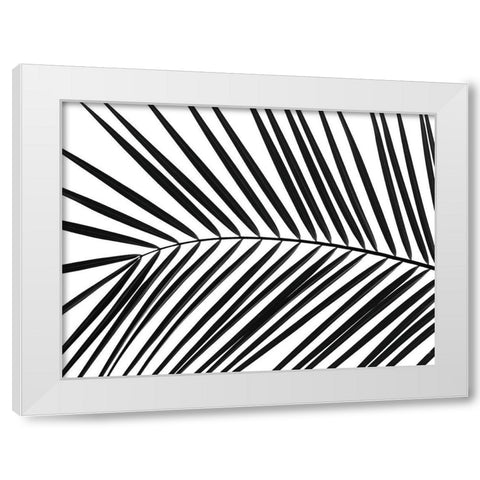 Palm tree leaf White Modern Wood Framed Art Print by Frank, Assaf
