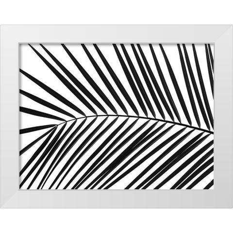 Palm tree leaf White Modern Wood Framed Art Print by Frank, Assaf