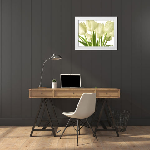 Bunch of Tulips White Modern Wood Framed Art Print by Frank, Assaf