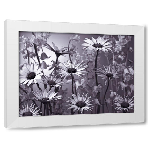 Meadow flowers White Modern Wood Framed Art Print by Frank, Assaf