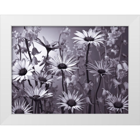 Meadow flowers White Modern Wood Framed Art Print by Frank, Assaf