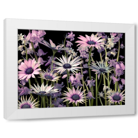 Meadow flowers White Modern Wood Framed Art Print by Frank, Assaf
