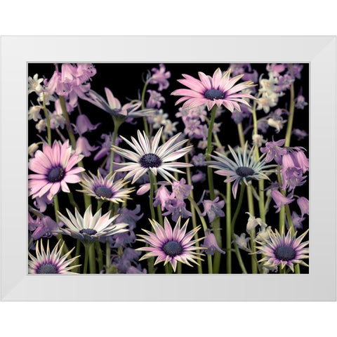 Meadow flowers White Modern Wood Framed Art Print by Frank, Assaf