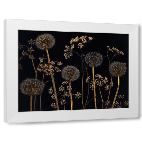 Meadow flowers White Modern Wood Framed Art Print by Frank, Assaf