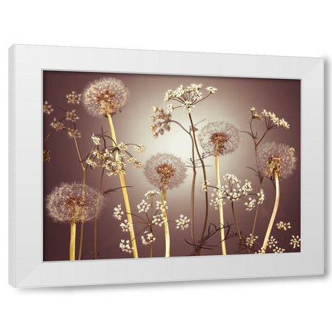 Meadow flowers White Modern Wood Framed Art Print by Frank, Assaf
