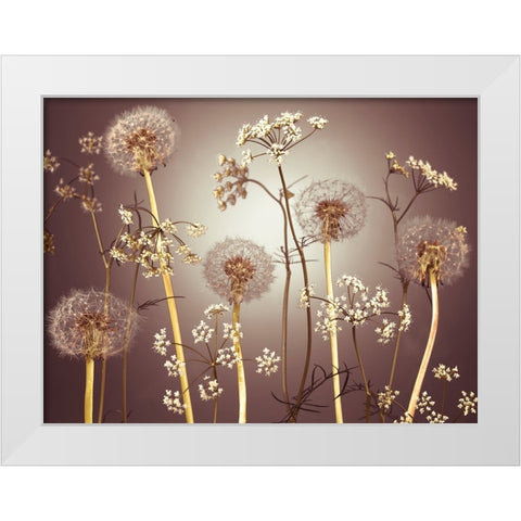 Meadow flowers White Modern Wood Framed Art Print by Frank, Assaf