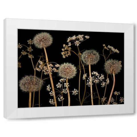 Meadow flowers White Modern Wood Framed Art Print by Frank, Assaf