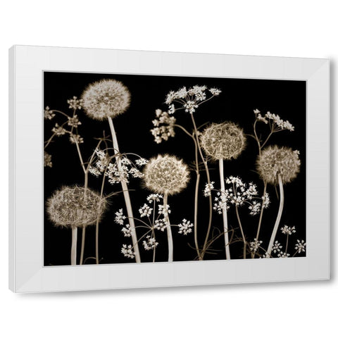 Meadow flowers White Modern Wood Framed Art Print by Frank, Assaf
