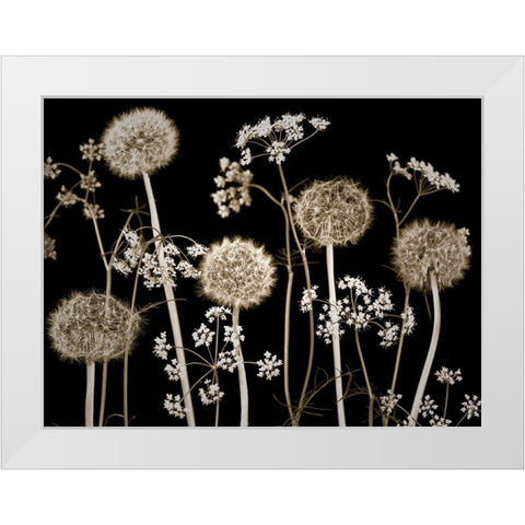 Meadow flowers White Modern Wood Framed Art Print by Frank, Assaf