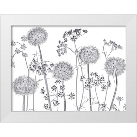Meadow flowers White Modern Wood Framed Art Print by Frank, Assaf