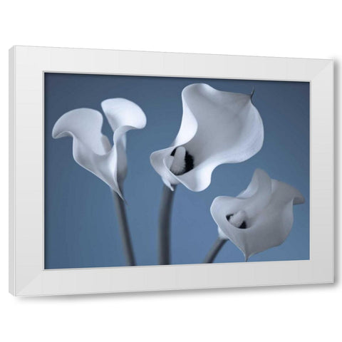 Three Calla Lilies White Modern Wood Framed Art Print by Frank, Assaf