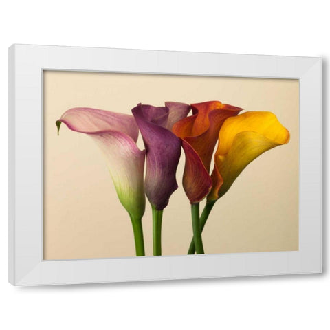Four calla lilies White Modern Wood Framed Art Print by Frank, Assaf